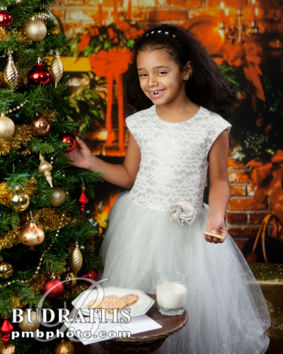 Studio Christmas Portrait by Peter M. Budraitis Photography